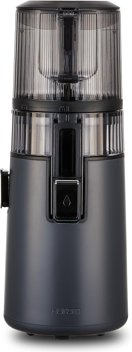 Hurom Mastizier-Entsafter mit einer Schnecke, Schwarz, H70FT Neuer Slow Juicer